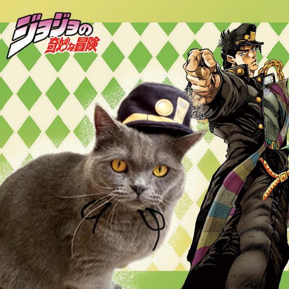 JoJo's Bizarre Adventure Kujo Jotaro Mascota Halloween Carnaval Accesorios Cosplay Sombrero