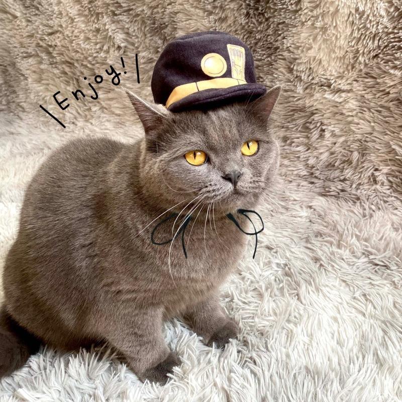 JoJo's Bizarre Adventure Kujo Jotaro Mascota Halloween Carnaval Accesorios Cosplay Sombrero
