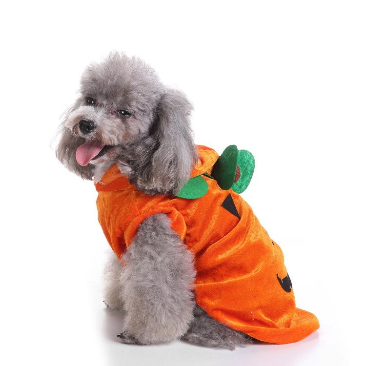 Mascota Halloween Divertida Calabaza Cosplay Sudadera con Capucha