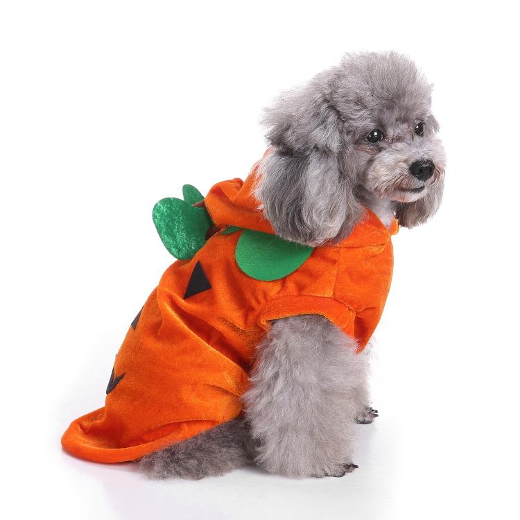 Mascota Halloween Divertida Calabaza Cosplay Sudadera con Capucha