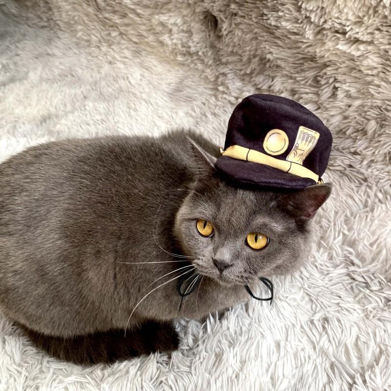 JoJo's Bizarre Adventure Kujo Jotaro Mascota Halloween Carnaval Accesorios Cosplay Sombrero