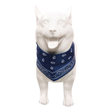 Stranger Things Eleven Perro Mascota Cosplay Halloween Carnaval Disfraz Accesorios