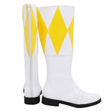 TV Super Sentai Kyoryu Sentai Zyuranger Cosplay Halloween Carnaval Zapatos hecho a medida