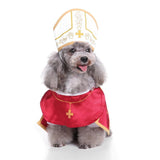 Mascota Disfraz Holy Pope Hound para perro Halloween traje de padrino con sombrero