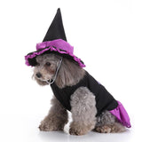 Mascota Witch/Wizard Halloween Carnaval Cosplay Disfraz