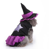 Mascota Witch/Wizard Halloween Carnaval Cosplay Disfraz