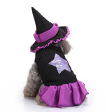 Mascota Witch/Wizard Halloween Carnaval Cosplay Disfraz