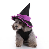 Mascota Witch/Wizard Halloween Carnaval Cosplay Disfraz