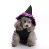 Mascota Witch/Wizard Halloween Carnaval Cosplay Disfraz