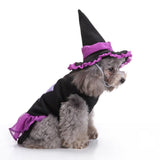 Mascota Witch/Wizard Halloween Carnaval Cosplay Disfraz