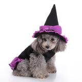 Mascota Witch/Wizard Halloween Carnaval Cosplay Disfraz